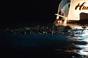 Foto: Schnorchler warten im Wasser auf Manta Rochen.