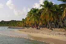 Foto: Der Strand Plage de la Caravelle auf Guadeloupe.