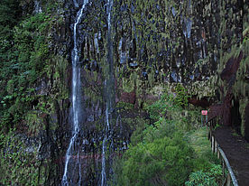 Foto: Risco Wasserfall auf Madeira