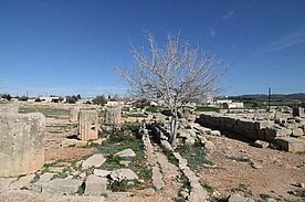 Foto: Ruinen des Das Aphroditen Heiligtum auf Zypern.