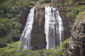 Foto: Opaekaa Falls auf Kauai.