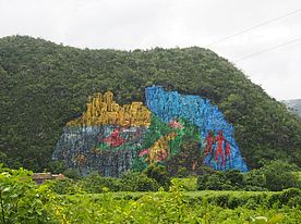 Kuba in der Karibik: Mural de la Prehistoria im Vinales Tal