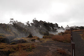 Foto: Rauch der aus einer Erdspalte am Kilauea austritt (Steam Vents).