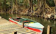 Foto: Der Bootsanleger einer gemütlichen Dschungel Bar mit Schlafplatz für die Gäste am Indian River auf Dominika..