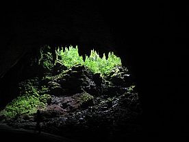 Foto: Höhlenausgang im Rio Camuy Cave Park - Puerto Rico.