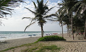 Foto: Palmenstrand an der Ostküste der Isla Margarita