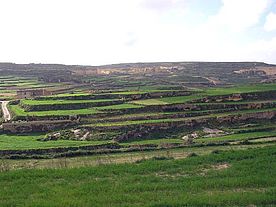 Foto: Steinbrüche und Felder, soweit das Auge reicht auf Gozo.