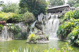 Foto: Wasserfall im botanischen Garten bei Deshaies auf Guadeloupe