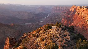 Foto: Blick in den Grand Canyon bei Sonnenuntergang
