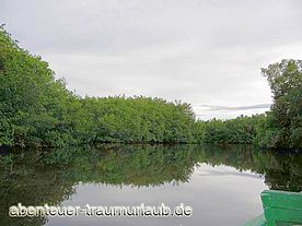 Foto: Linke Flußhälfte führt weißes Wasser im Caroni Swamp Bird Sanctuary.