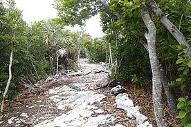 Fotos der Insel Coco Cay  - Bahamas - Karibik