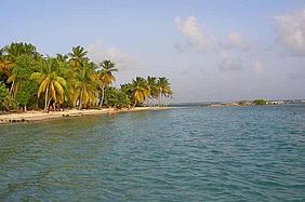 Strand auf der Karibik Insel Guadeloupe