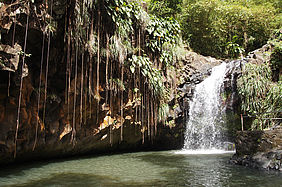 Foto: Der Annandale Wasserfall auf der Karibik Insel Grenada