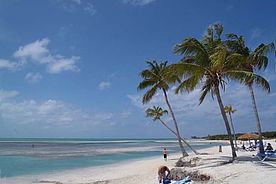 Karibik - Bahamas - Coco Cay - Inselfotos vom Strand, vielen Möven, und dem Kunsthandwerker Markt