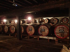 Madeira Wine Company in Funchal