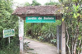 Foto: Blumen und Pfanzen im Gardin de Balata auf Martinique.