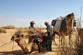 Fotos: Lager in der Sahara - Tunesien.