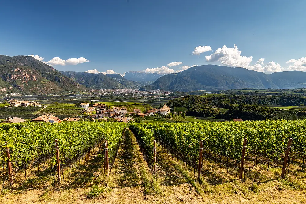 Foto: Südtirol im Herbst