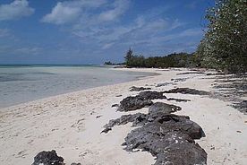 Fotos der Insel Coco Cay  - Bahamas