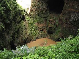 Foto: Unterirdischer Flußlauf im Rio Camuy Cave Park - Puerto Rico.