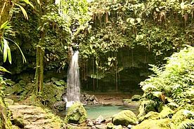 Emerald Pool auf der Karibik Insel Dominika