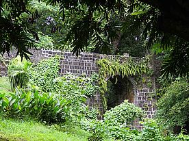 Botanischen Garten von Pamplemousses - Mauritius