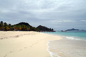 Foto: Perfekter Strand auf Palm Island.