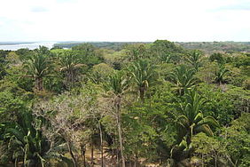 Fotos des Belize River im Regenwald von Belize und der schlafende Riese der Mayas (Berg in Form eines gesichtes)