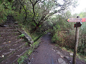 Foto: Levada zum Risco Wasserfall auf Madeira