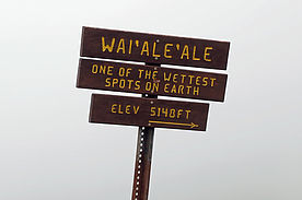 Foto: Wegweiser zum Waialeale - dem angeblich regenreichsten Punkt der Erde.
