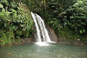 Foto der Cascade aux Ecrevisses - Der Flußkrebs Wasserfall auf Guadeloupe.