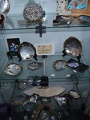 Fotos der Ausstellung in der Perlenfarm auf Praslin