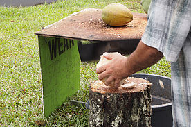 Foto: Mann beim Kokosnuß öffnen.
