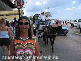 Foto: Ein Pferd mit Sonnenhut auf der Karibik Insel Cozumel-Mexico